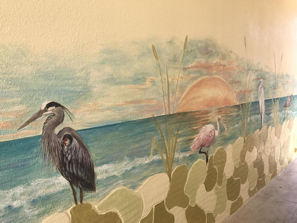 Island Cay At Clearwater Beach Extérieur photo